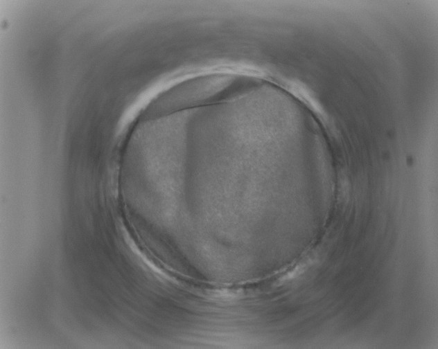 X0000083991504200703021925