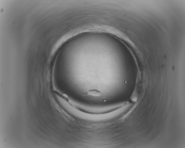 X0000083991506200703021925