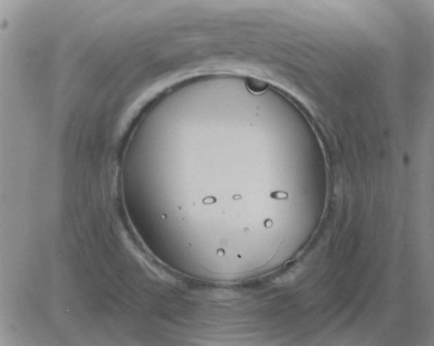 X0000083991507200703021925