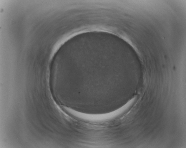 X0000083991508200703021925