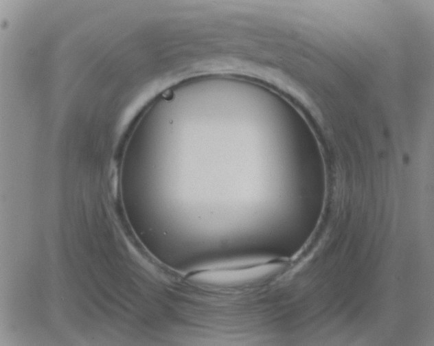 X0000083991509200703021925