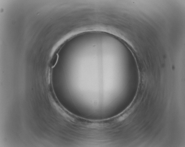 X0000083991510200703021925