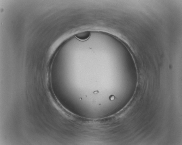 X0000083991511200703021925