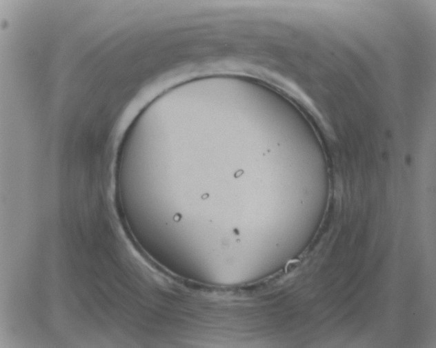 X0000083991512200703021925