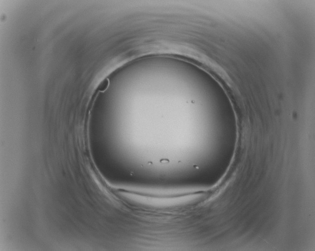 X0000083991513200703021925