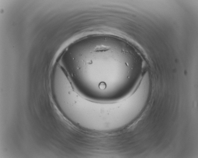 X0000083991514200703021925