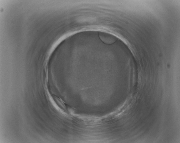 X0000083991515200703021925