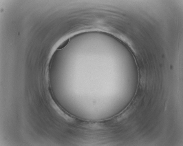 X0000083991516200703021925