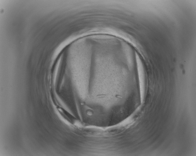 X0000083991519200703021925