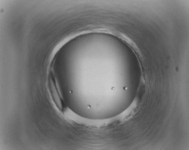 X0000083991520200703021925