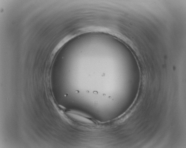 X0000083991521200703021925