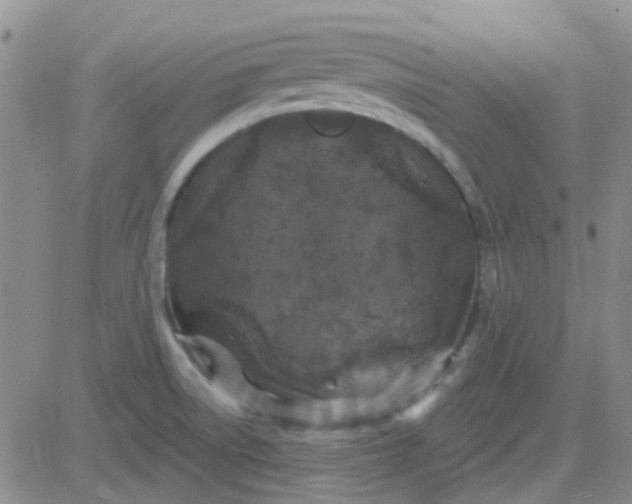 X0000083991522200703021925