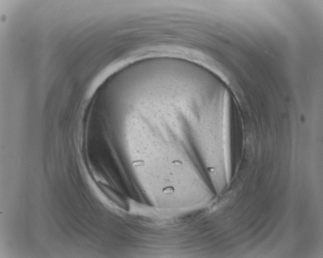 X0000083991523200703021925