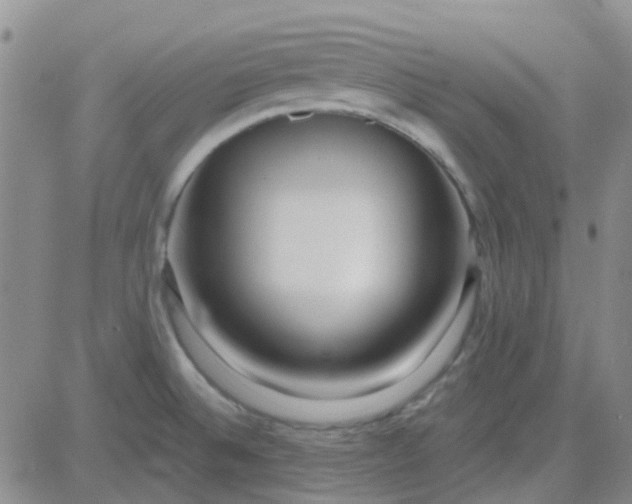 X0000083991524200703021926