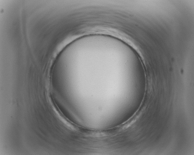 X0000083991525200703021926