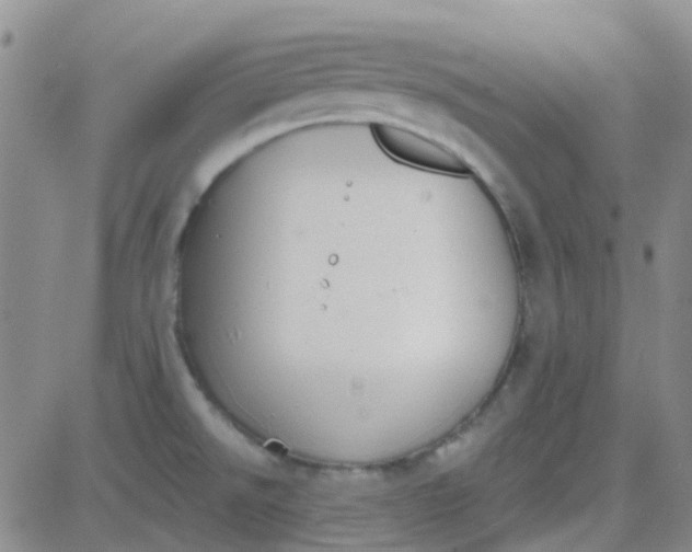 X0000083991526200703021926