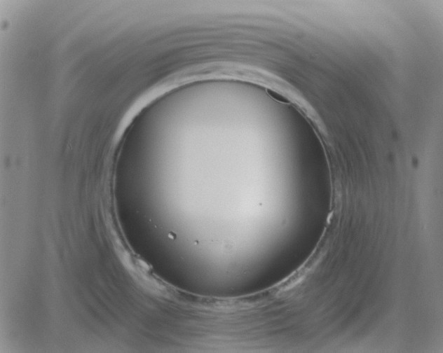 X0000083991530200703021926