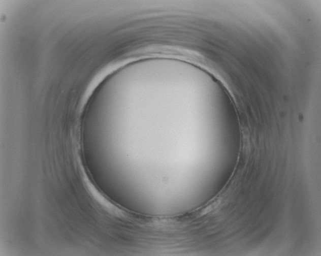 X0000083991531200703021926