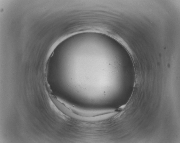 X0000083991532200703021926