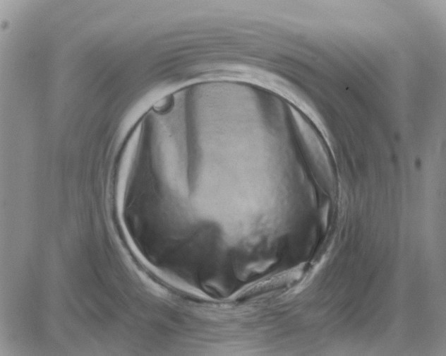 X0000083991533200703021926