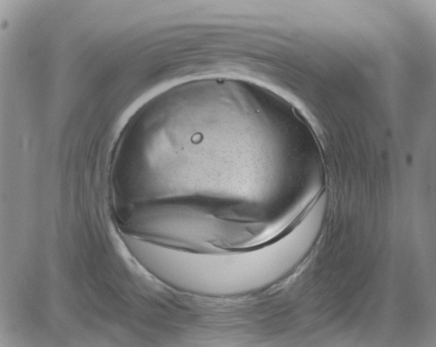 X0000083991534200703021926