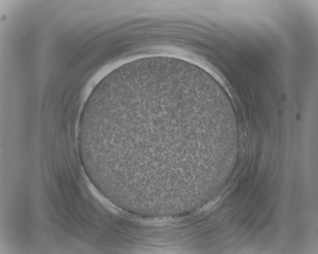 X0000083991535200703021926