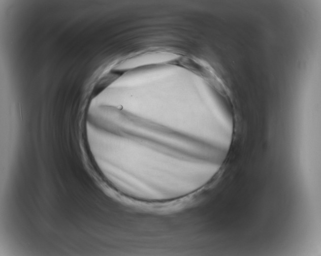 X0000083990001200703091855