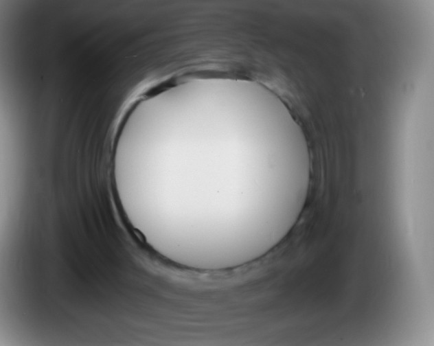 X0000083990003200703091855