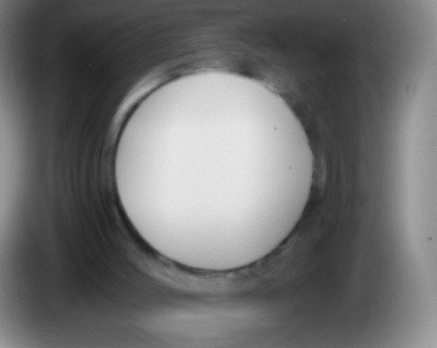 X0000083990004200703091855