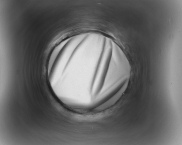 X0000083990005200703091855