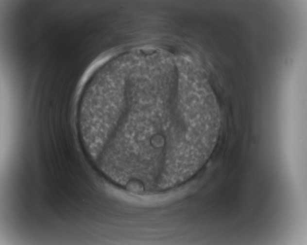 X0000083990006200703091855