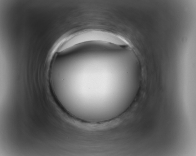 X0000083990007200703091855