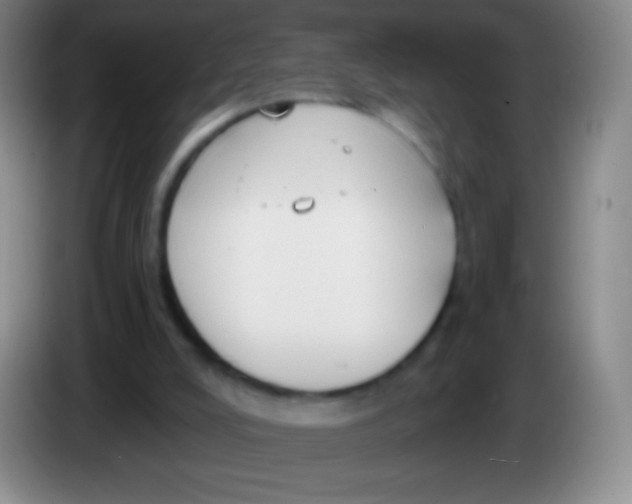 X0000083990008200703091855