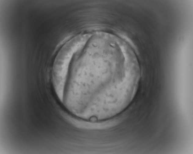 X0000083990010200703091855