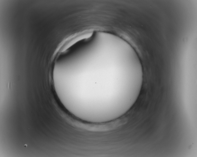 X0000083990011200703091855