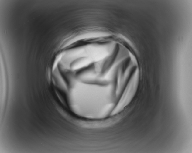 X0000083990013200703091855