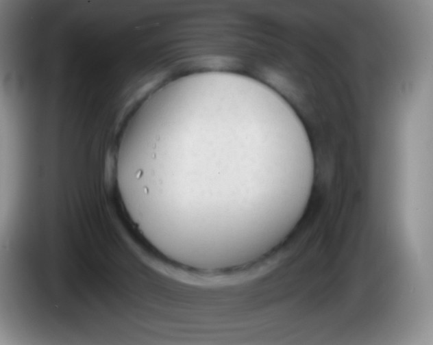 X0000083990014200703091855