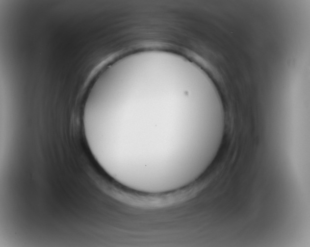 X0000083990015200703091855