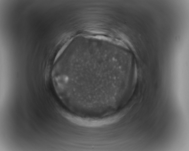 X0000083990018200703091855