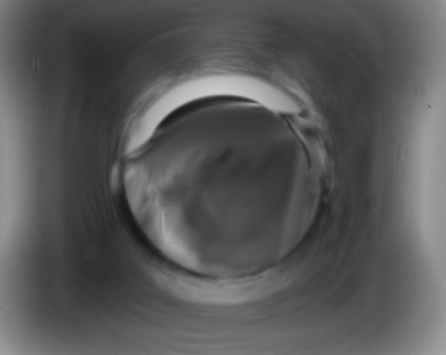 X0000083990019200703091854