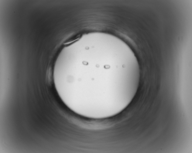 X0000083990020200703091854