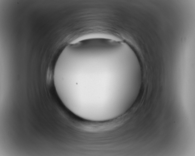 X0000083990021200703091854