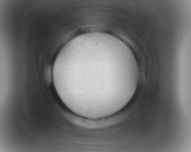 X0000083990022200703091854