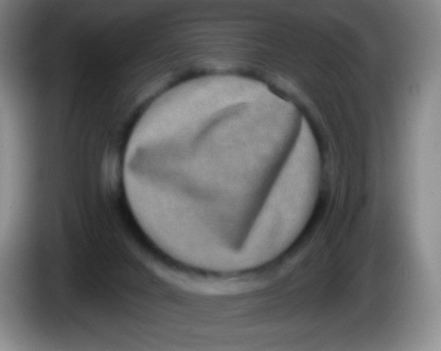 X0000083990024200703091854