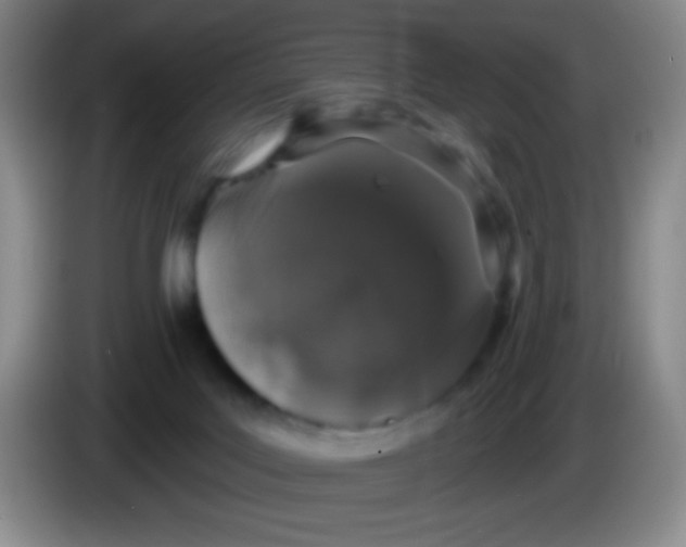 X0000083990027200703091854