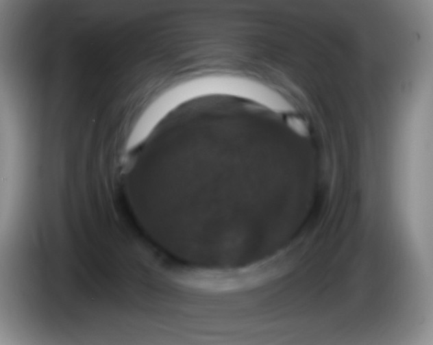 X0000083990029200703091854