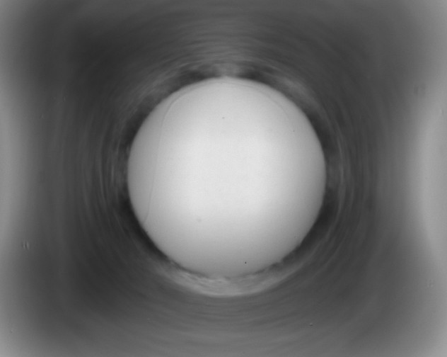 X0000083990030200703091854