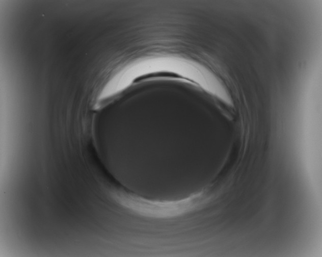 X0000083990031200703091854