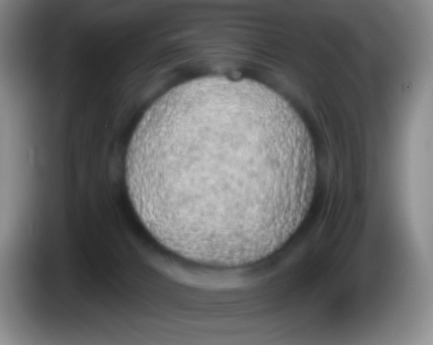 X0000083990032200703091854