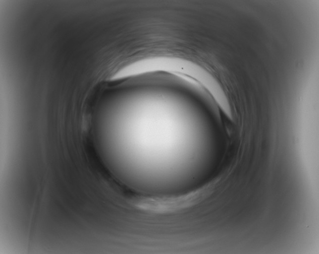 X0000083990033200703091854